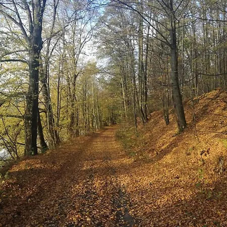 Dom Nad Bobrem Agatowe Kamyki * Wlen